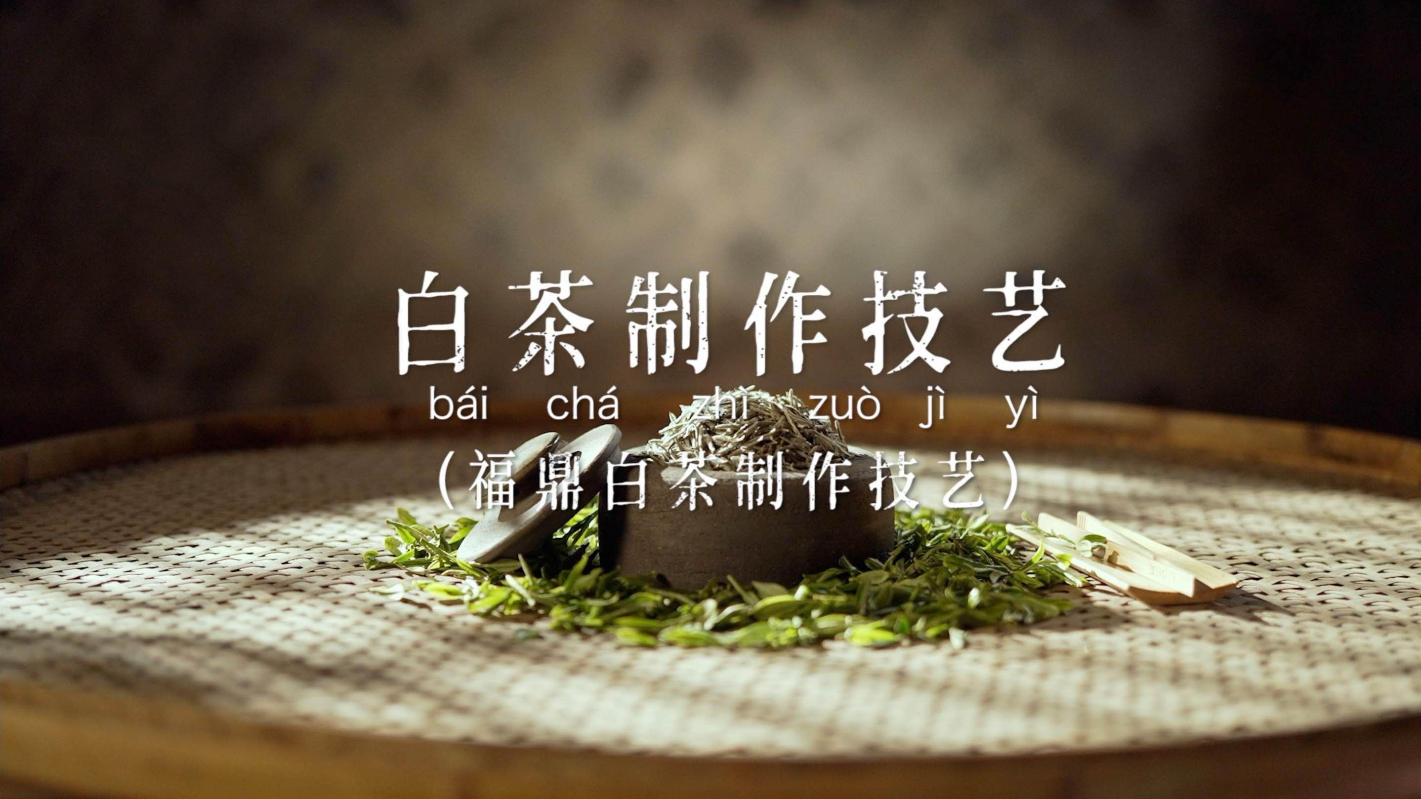 《非遗里的中国》第一季 技艺小片—— 白茶制作技艺（福鼎白茶制作技艺）