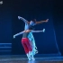 【倪富强 王冠】《丹顶鹤与小女孩》第六届华北五省舞蹈大赛双人舞