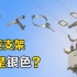 为什么电线杆上的支架都是银色的？中国环保为此大力“整改”