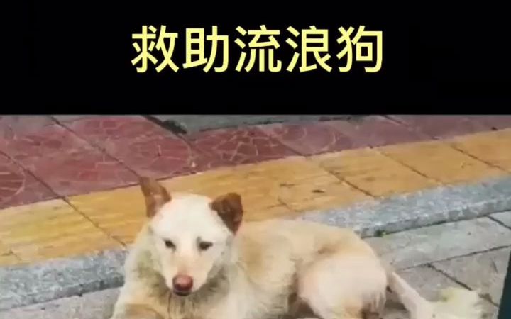 如果不爱,请不要伤害哔哩哔哩bilibili