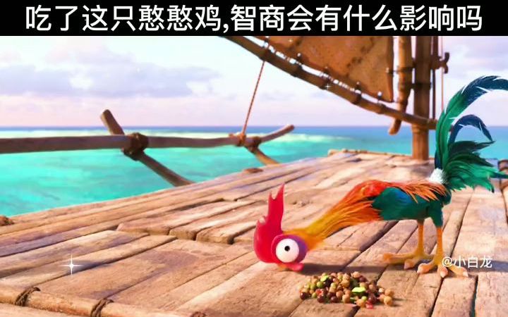 【海洋奇缘】这是一只连大海都嫌弃的憨憨鸡!蠢萌蠢萌的!