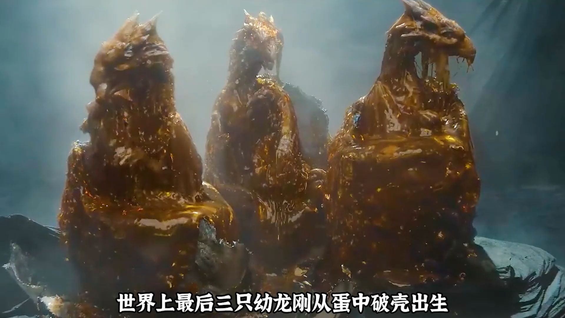 明知母龙一辈子只能产下三颗蛋，国王还是下令将三只幼龙全部杀害！少女斗恶龙！