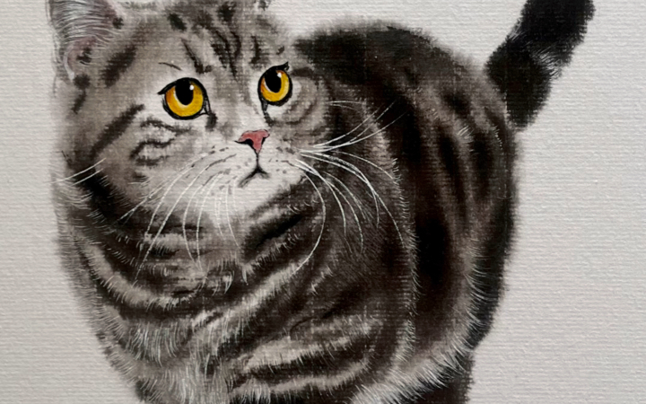 画一只矮脚猫 国画猫咪的画法