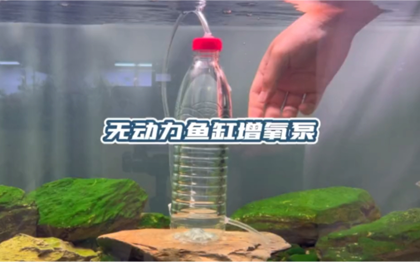 这是一个颠覆认知的发明，仅需一个塑料瓶，就能制作无限循环的鱼缸增氧泵，你相信这是真的吗 #永动机 #无限循环增氧泵