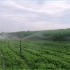 有关园林灌溉中喷头的选择与配置#灌溉设备#喷头