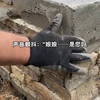 梦寻梨花皎皎-中短-加急-大盘前贴-0123-zz-qw-02-Sai-解压-刘亚乾