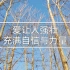田园风光~蓝天下的白杨树——在大自然中放空身心