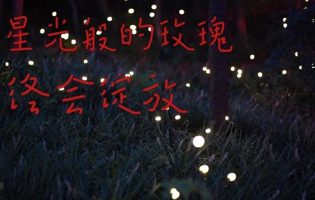 不被定义，大胆热爱