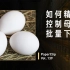 【回形针PaperClip】如何精确控制母鸡批量下蛋？