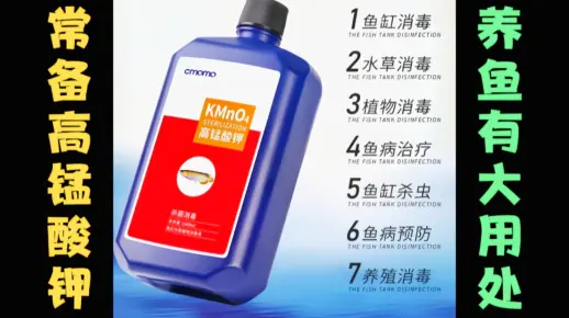 养鱼过程中，高锰酸钾用处多剂量难把控，3种浓度的作用可别弄错