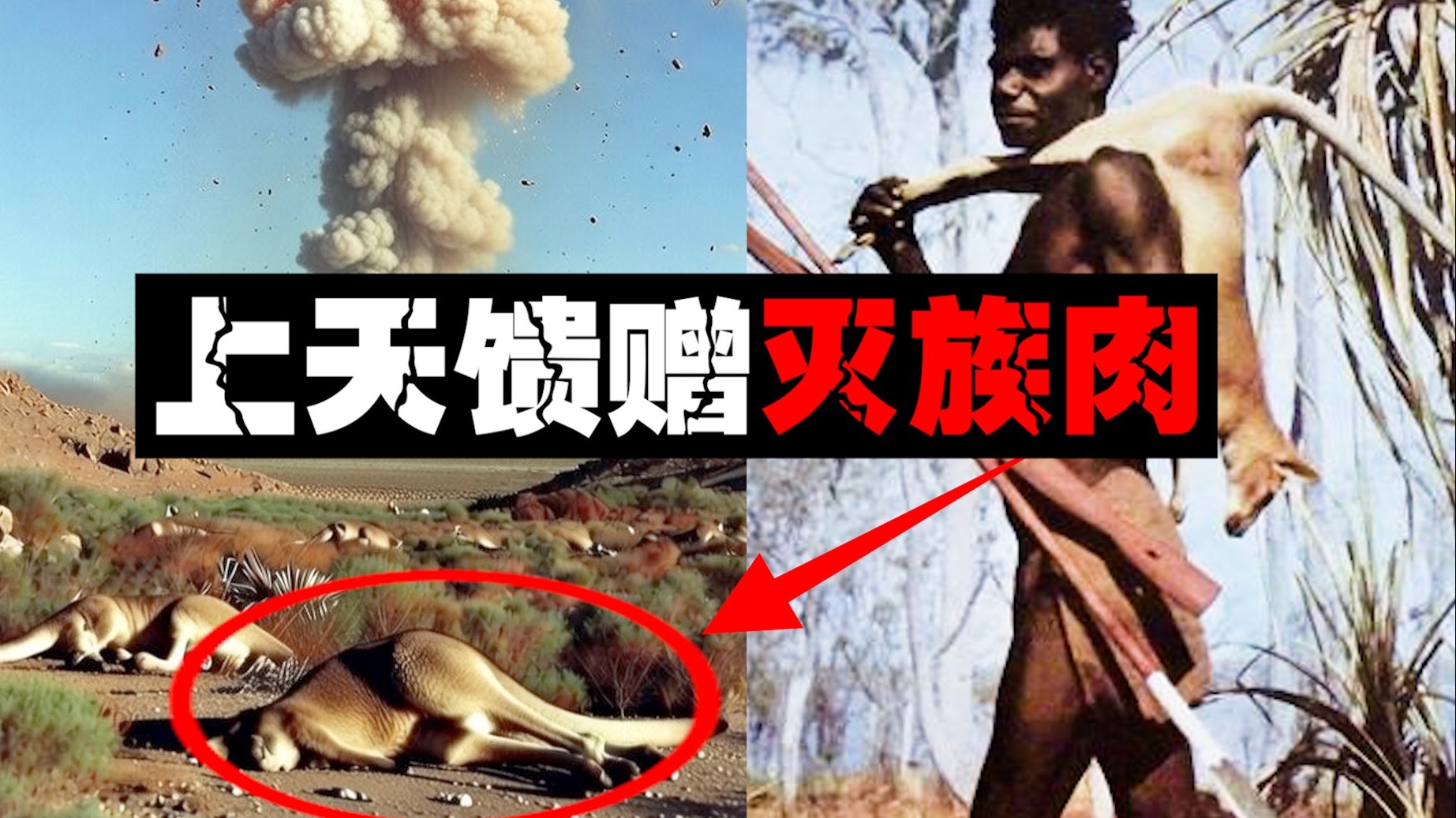 【天降神秘肉】土著把核弹当“馈赠”大快朵颐后集体溃烂暴毙。。。
