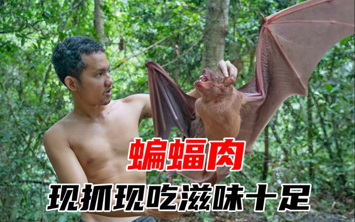 越南人最爱的蝙蝠沾大酱，一口下去鲜香四溢，一人一盆都不够吃