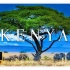 肯尼亚马赛马拉4K超高清 - 非洲音乐风景野生动物影片