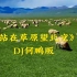 《站在草原望北京》DJ版
