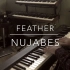 【搬运】Feather - Nujabes   （Piano Cover）