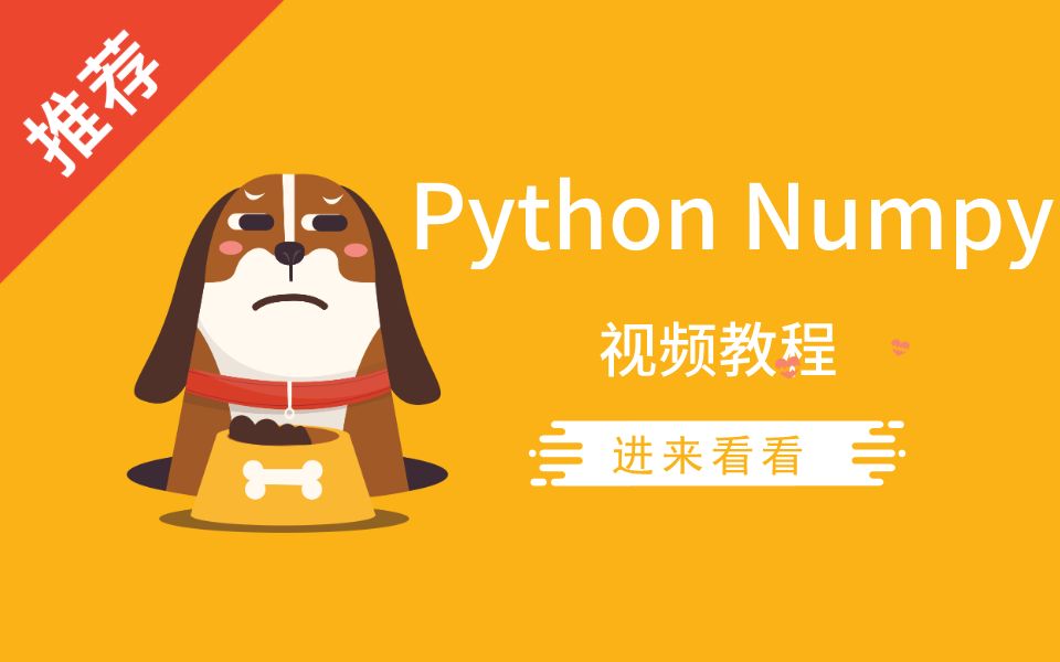 Python Numpy