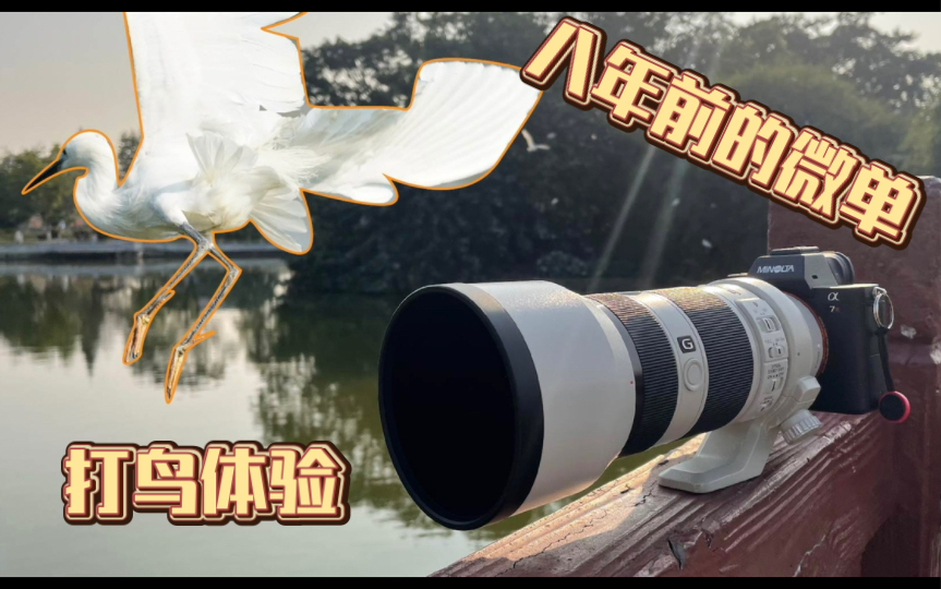 用八年前的微单来打鸟是什么感觉？索尼a7r2&70-200 f4