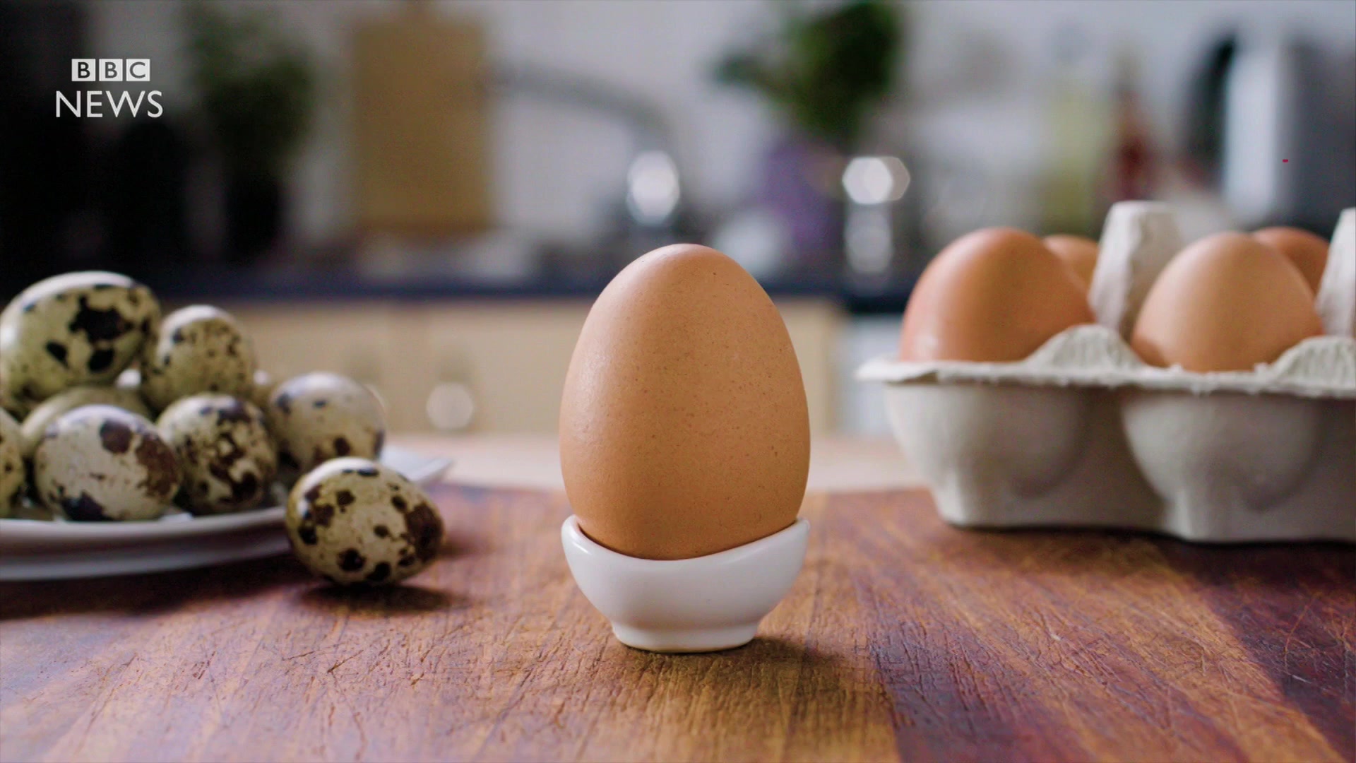  Discover the Best Egg Loan Company: Your Ultimate Guide to Affordable Financing Solutions