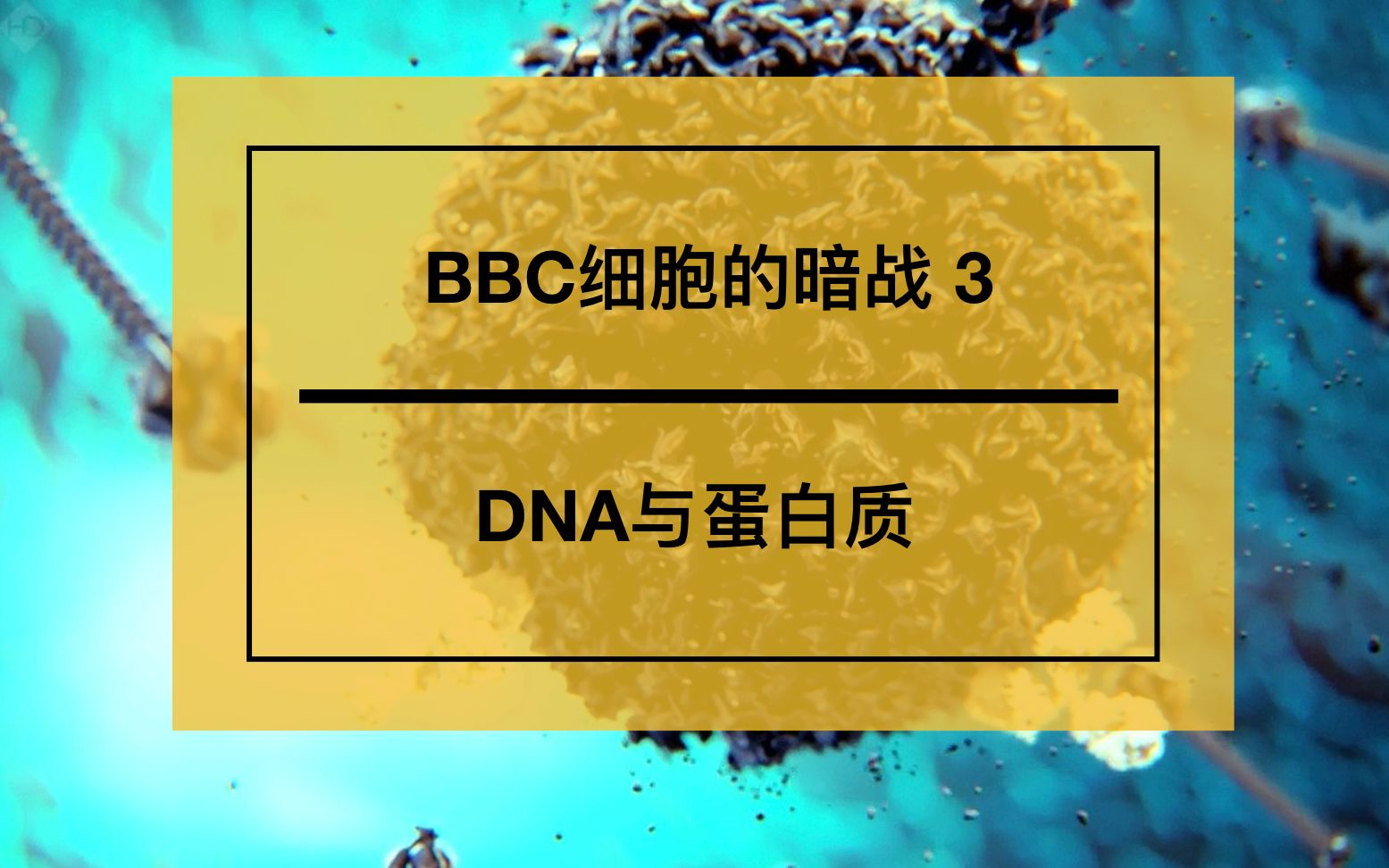 bbc人体奥妙之细胞的暗战3 dna与蛋白质 哔哩哔哩 つロ干杯 bilibili