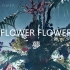 Flower Flower 2020.03.25 新专辑 《ターゲット》 试听粗剪