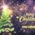 PR模板-烟花爆炸圣诞树特效的新年祝福视频模板圣诞节节日祝福视频模板节日促销视频模板