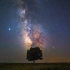 看，内蒙古的孤树与星空【一分钟系列】