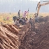 村民开挖掘机收山药，一天能挖一亩地