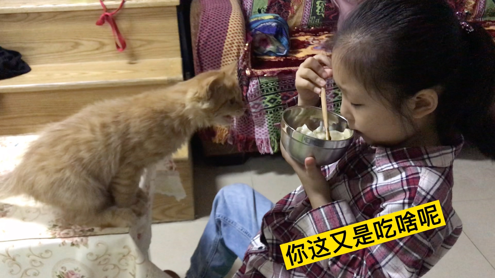 我是你的小馋猫哔哩哔哩bilibili