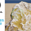 UE5材质：顶点着色+苔藓缝隙效果，可生长蔓延