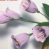 【皱纹纸花】精美的紫喇叭花