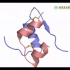 【生物化学与分子生物学】胰岛素3D结构展示