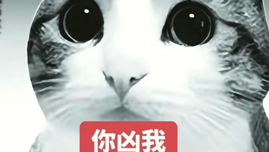 meowl与狮子真实世界版