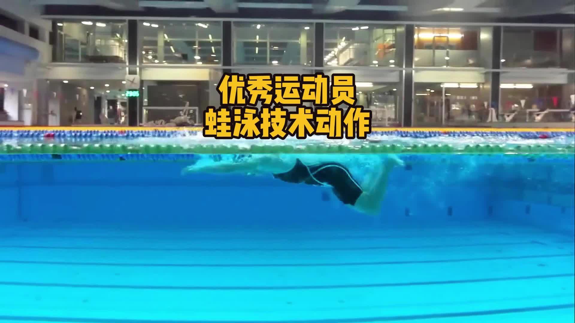 优秀运动员蛙泳技术动作