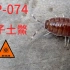 【SCP基金會】SCP-074  量子土鱉
