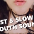 【PPOMO】FAST & SLOW WET MOUTH SOUNDS