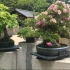 优雅别致的院落——盆栽苑（昭和纪念公园