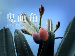 诱人的秘鲁苹果！