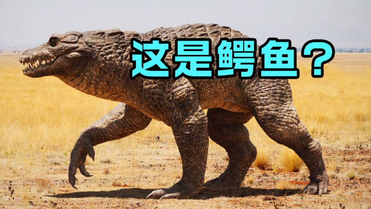 鳄鱼叔叔在陆地上也是隐身哥？