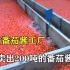 探访番茄酱工厂：红彤彤的番茄如何变成番茄酱的，过程比老坛酸菜还干净