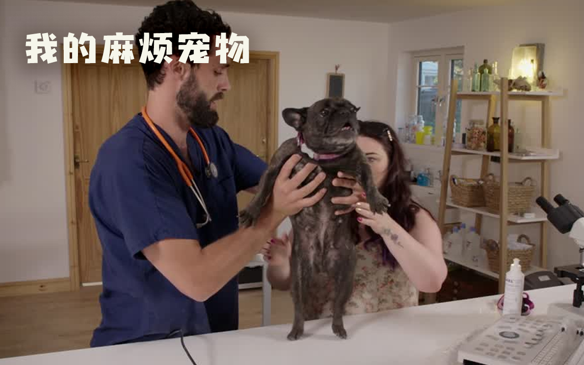【纪录片】我的麻烦宠物 EMBARRASSING PETS 05