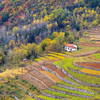 秦岭南麓小山村，五彩斑斓的秋天