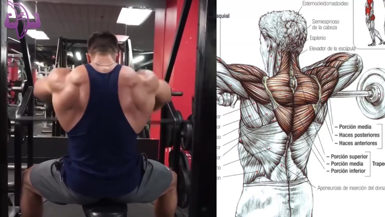 8个肩部肌肉增生动作
