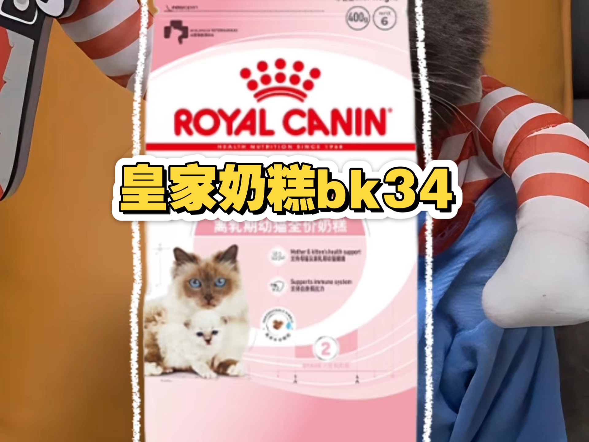 皇家猫粮真的谋财不害命吗？