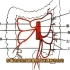 影像基础解剖：肠系膜上、下动脉主要分支，分别营养哪些肠管？