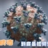 详细解读新冠病毒入侵人体后，免疫系统又是如何大战新冠病毒的？
