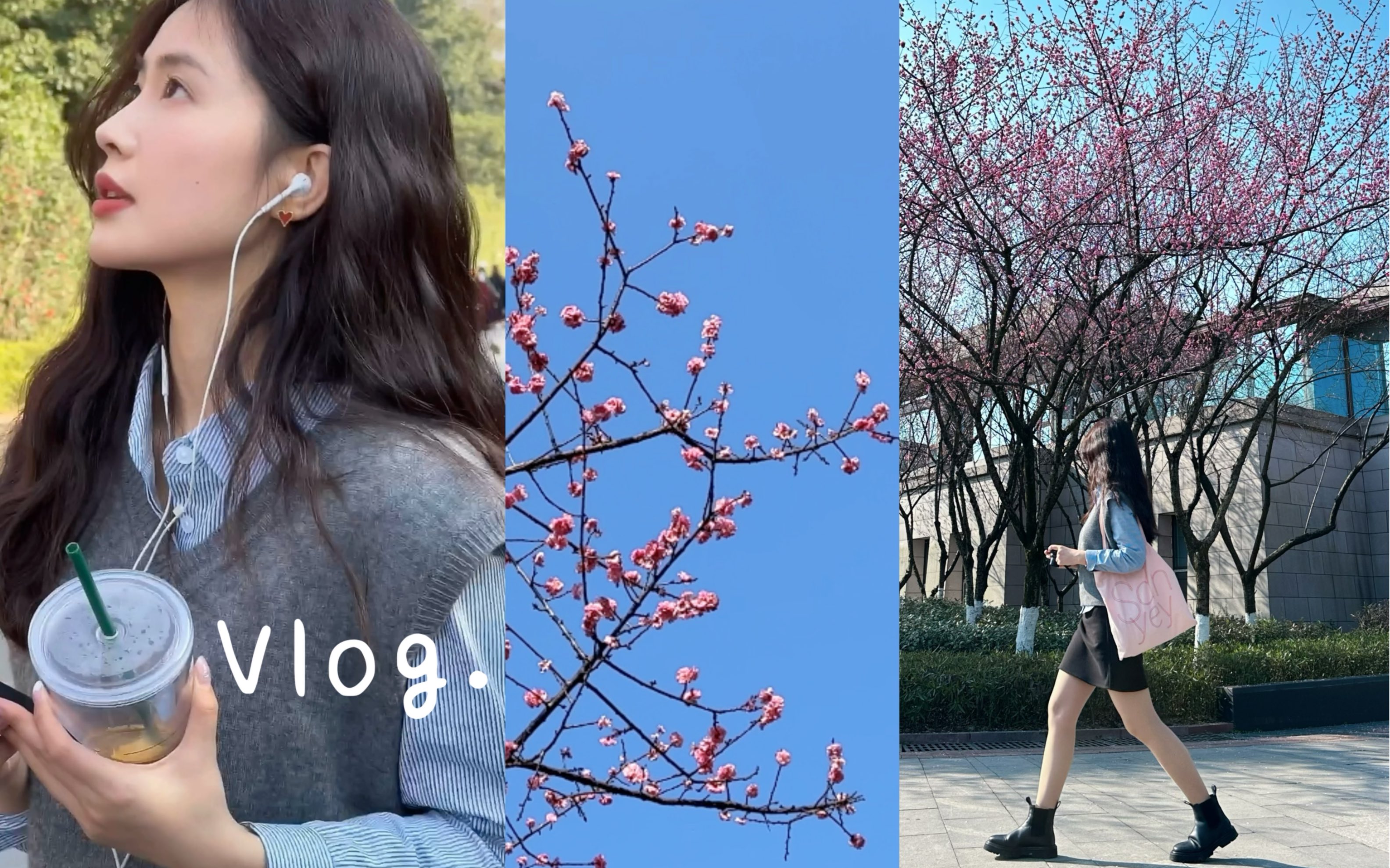 vlog