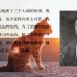【夏目漱石】《我是猫》句子整理