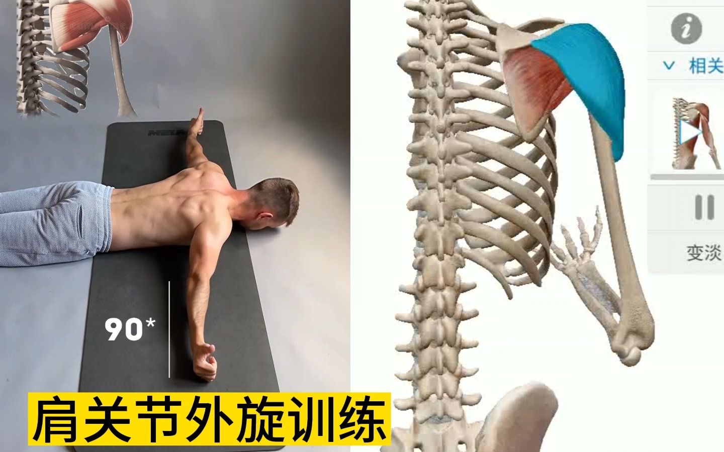 肩关节外旋训练，提升肩袖肌群力量，运动康复