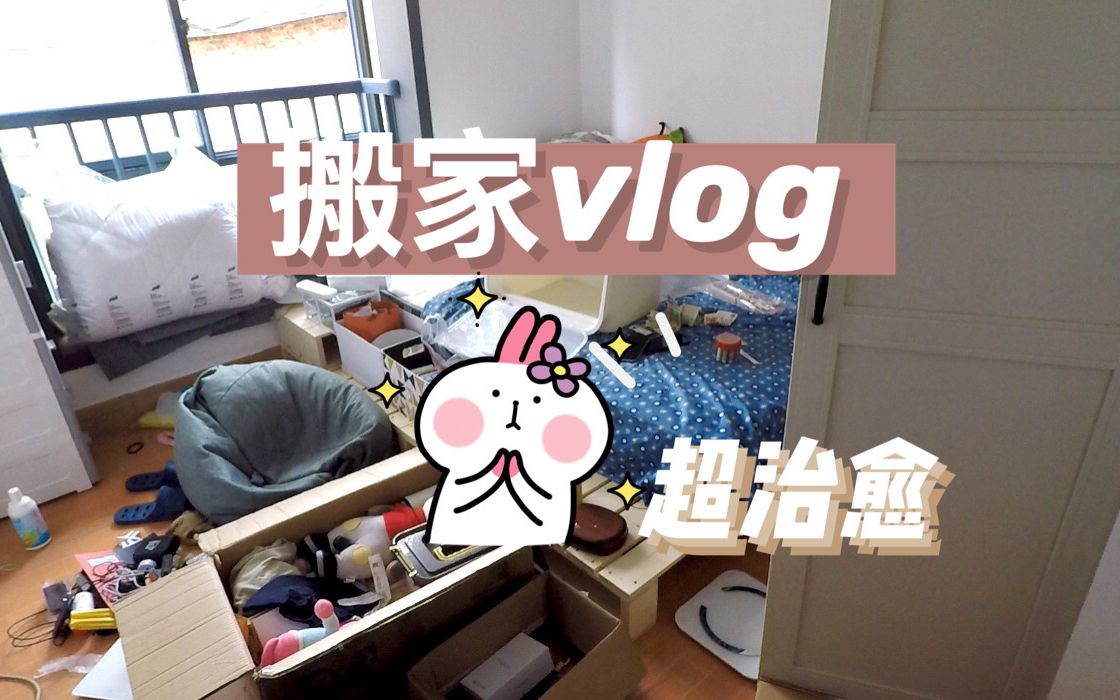 【搬家VLOG】强迫症是如何整理房间的?/超治愈系视频/我和我的多肉们/哔哩哔哩bilibili