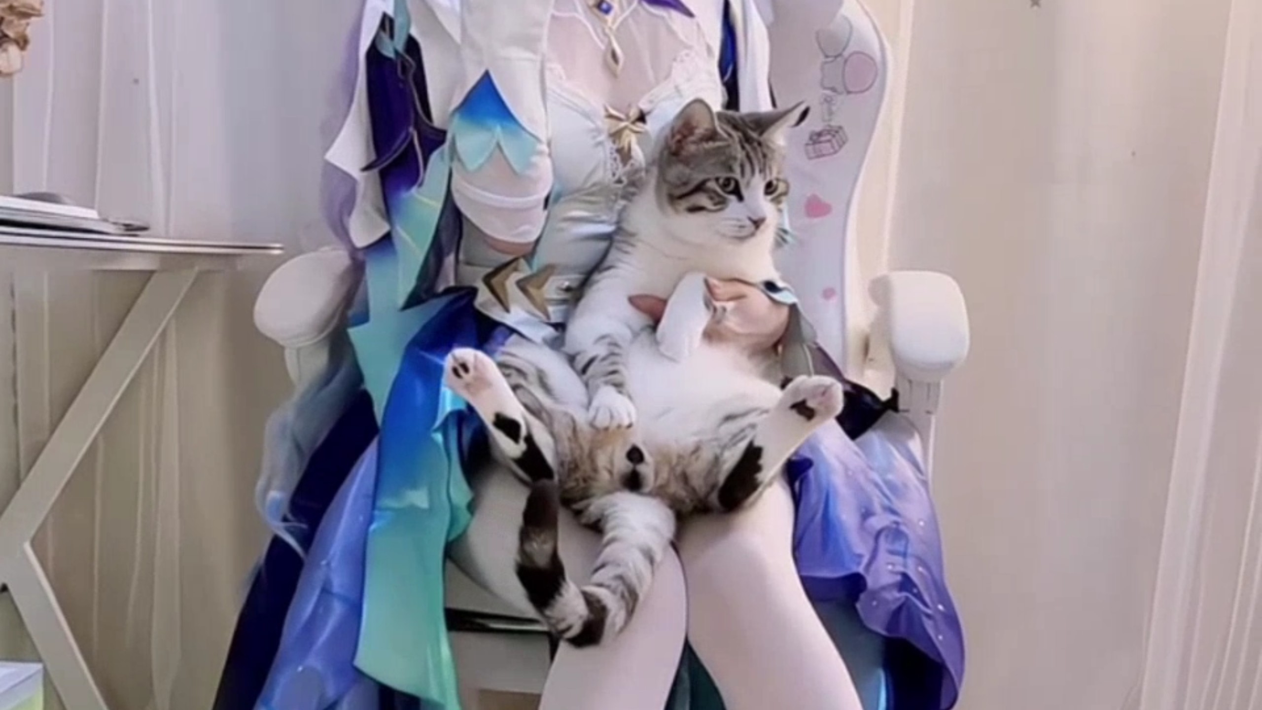 小猫笨笨的，像你一样…